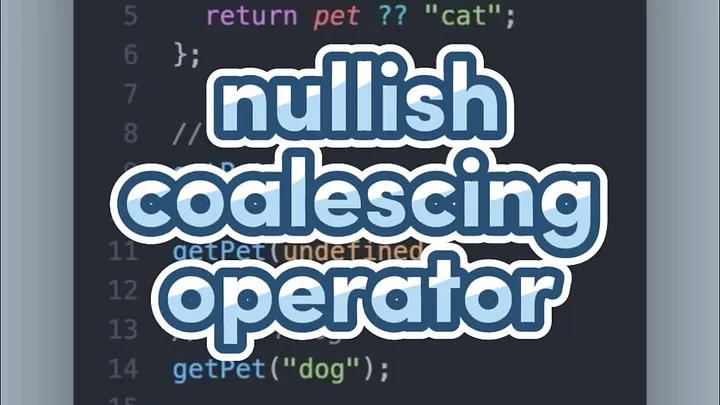 javascript-nullish-optional